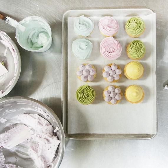 frosted cupcakes