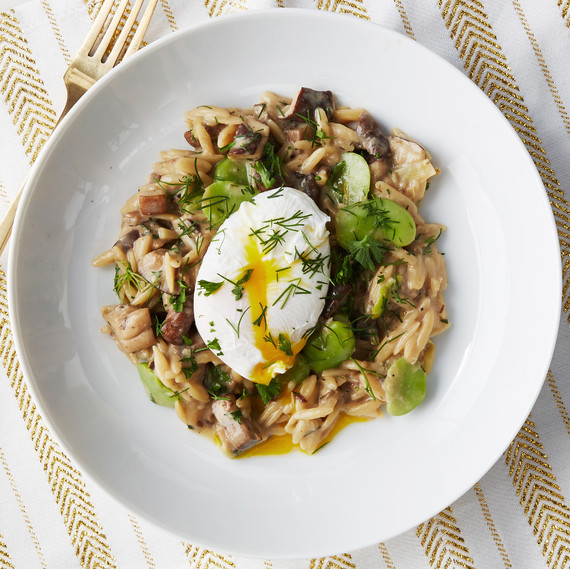 orzo risotto mushrooms orzo risotto mushrooms