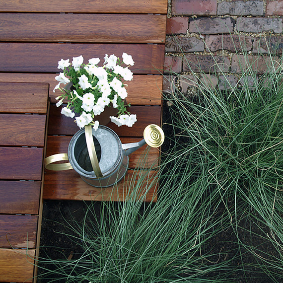 Buctown_Prarie-grass-010616.jpg (skyword:216457)