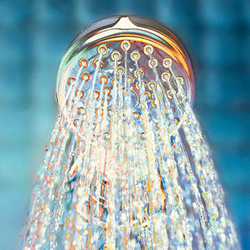 showerhead showerhead