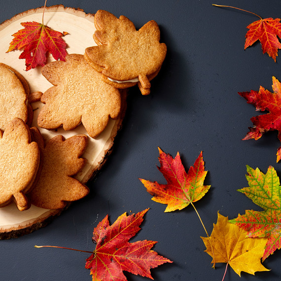 maple cream sandwich cookies maple cream sandwich cookies