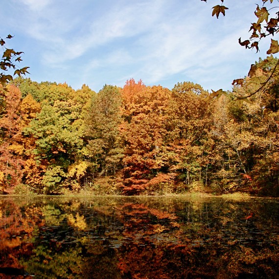 Greenbelt Conservancy_SI