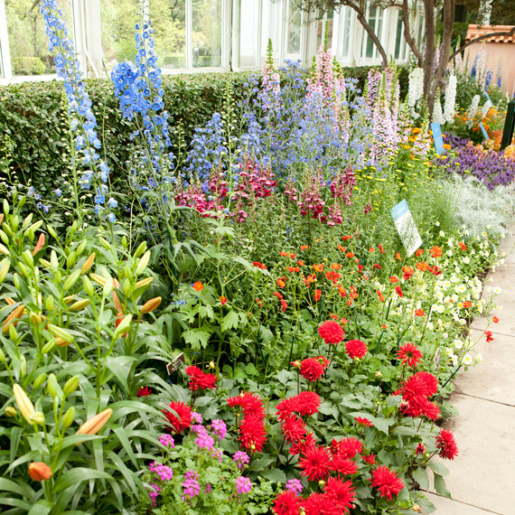 nybg-0614.jpg