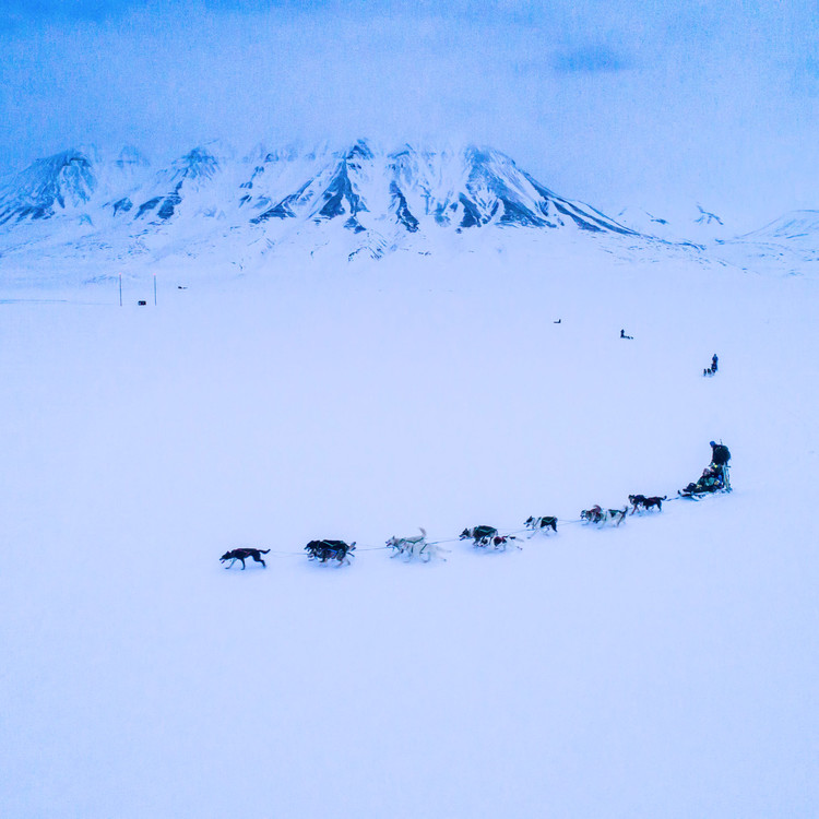 Martha Takes Us On An Adventure To The Svalbard Global Seed Vault Martha Stewart