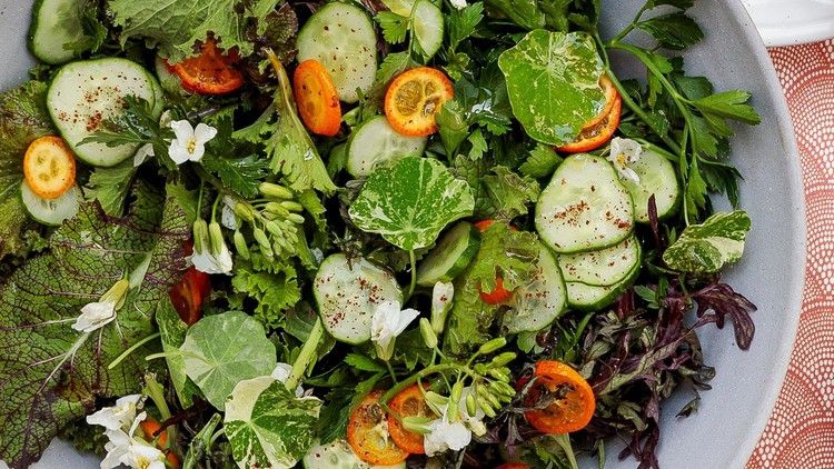 Cucumber Salad with Herbs, Kumquats, and Sumac Dressing_image