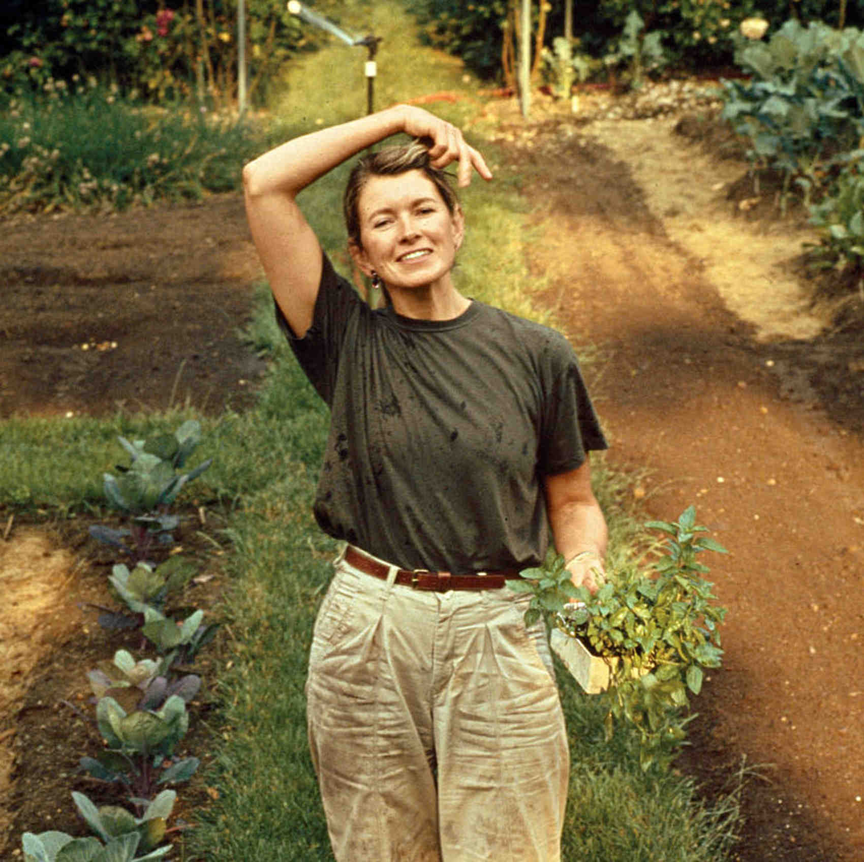 The Martha Stewart Story: How I Became a Household Name