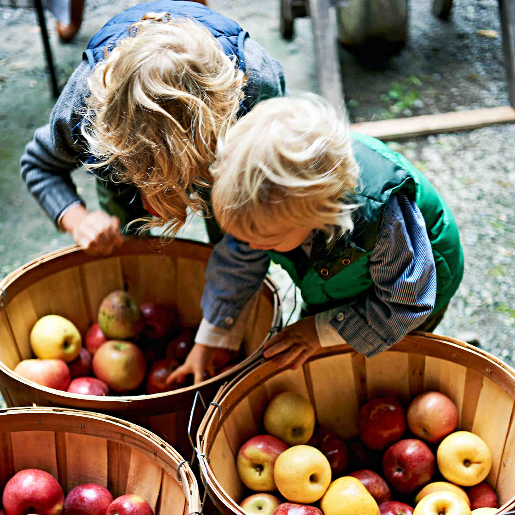 How to Throw an Amazing Apple-Harvest Party This Fall | Martha Stewart