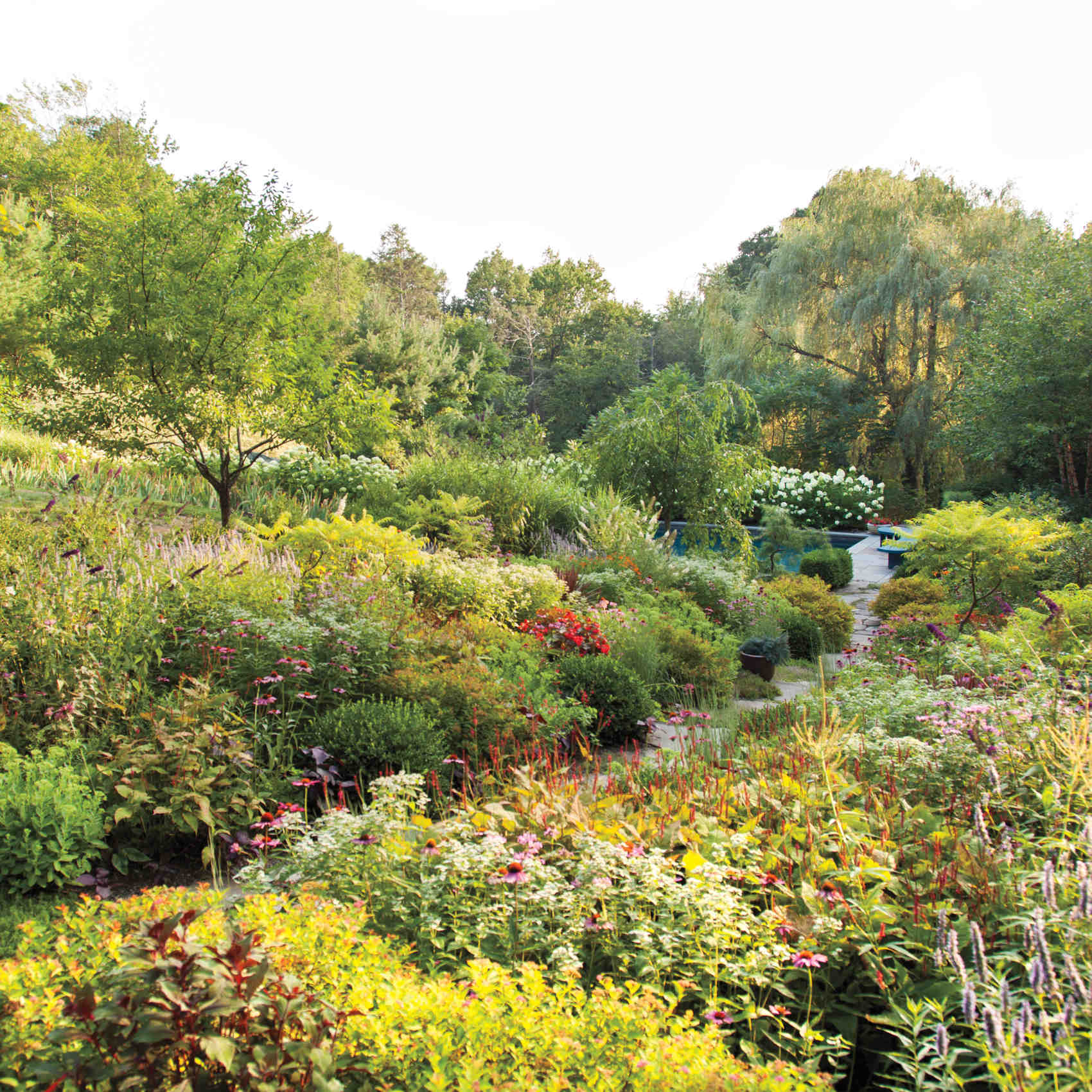 rohdie-garden-0362-md109241.jpg