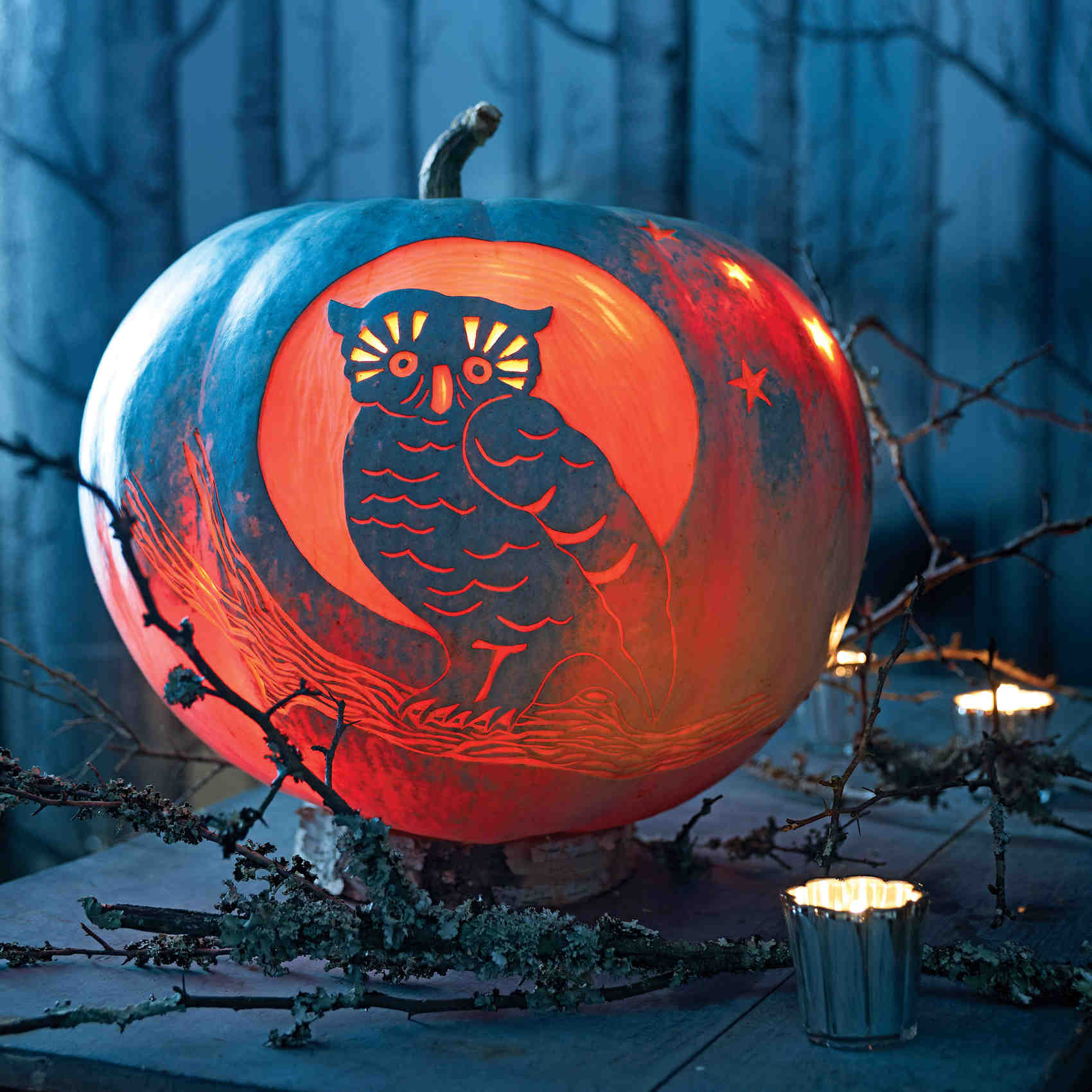ml105470_1010_owl147_owl_pumpkin.jpg